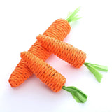 Natural Paper String Carrot Pet Toy - Durable Carrot Dog Toy & Cat Scratcher - silvia-therhond