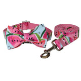 Pet Supplies Dog Collar Pet Leash - therhond