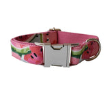 Pet Supplies Dog Collar Pet Leash - therhond