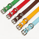 Classic Flat Dog Collar | Durable Adjustable Puppy Collar | Soft Pet Neck Comfort - therhond