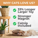 Magic Accordion Cat Scratcher Toy with Ball - silvia-therhond