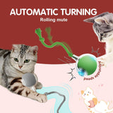 Interactive Cat Toys for Indoor Cats - therhond